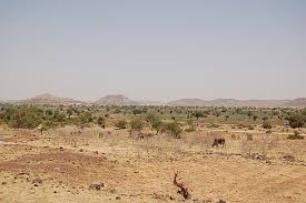 Le virage écologique: Un tournant à ne pas rater pour le Mali et le Sahel